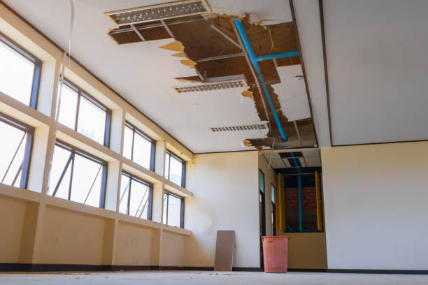 Best Professional water damage repair  in Rose Lodge, OR