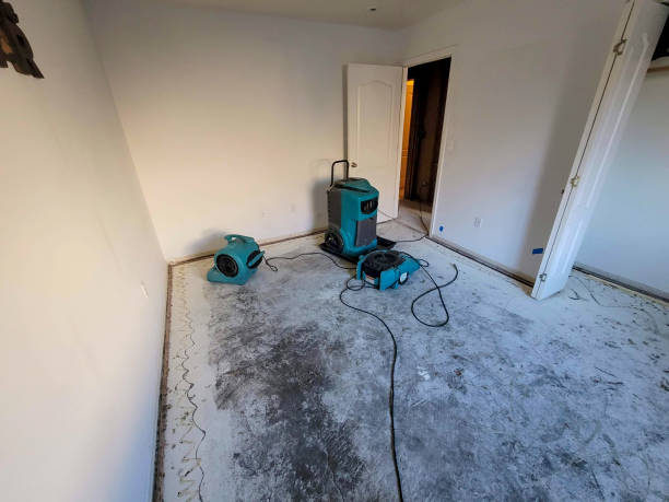 Best Residential water damage restoration  in Rose Lodge, OR