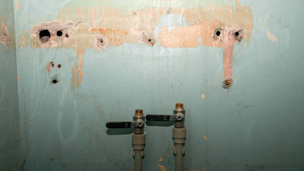 Best Fire Damage Restoration  in Rose Lodge, OR