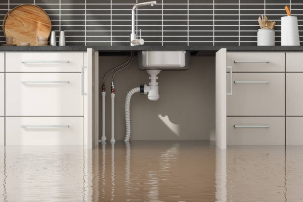 Best Basement water damage restoration  in Rose Lodge, OR